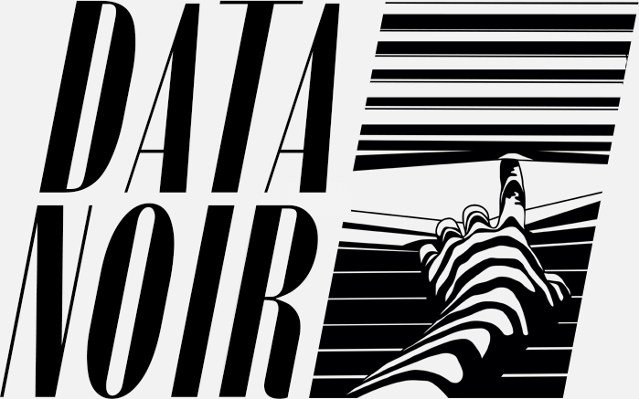 Data Noir logo